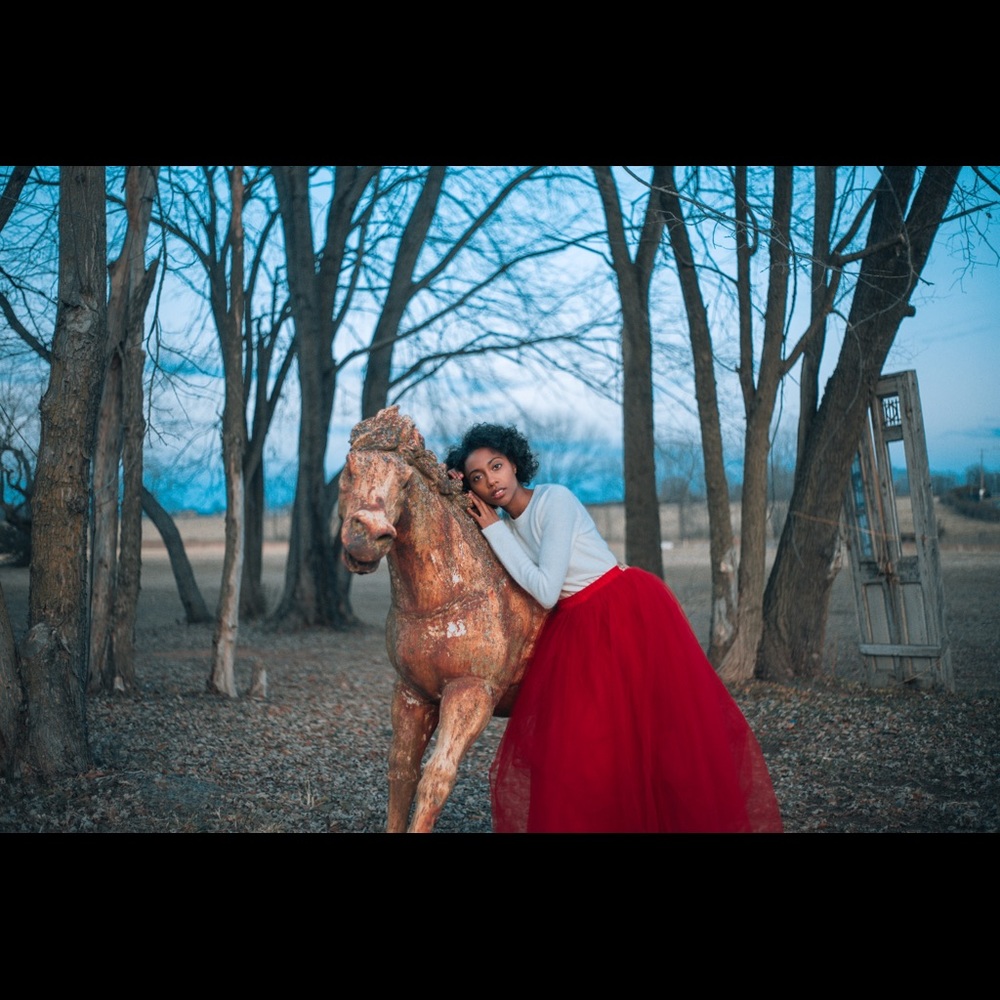 Red Floor Length Tulle Skirt